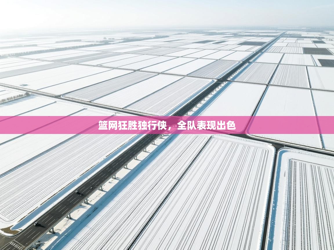 篮网狂胜独行侠,全队表现出色 第1张