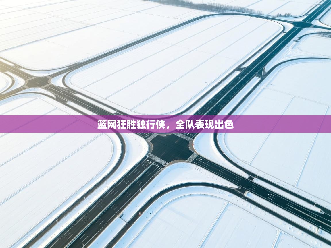 篮网狂胜独行侠,全队表现出色 第2张