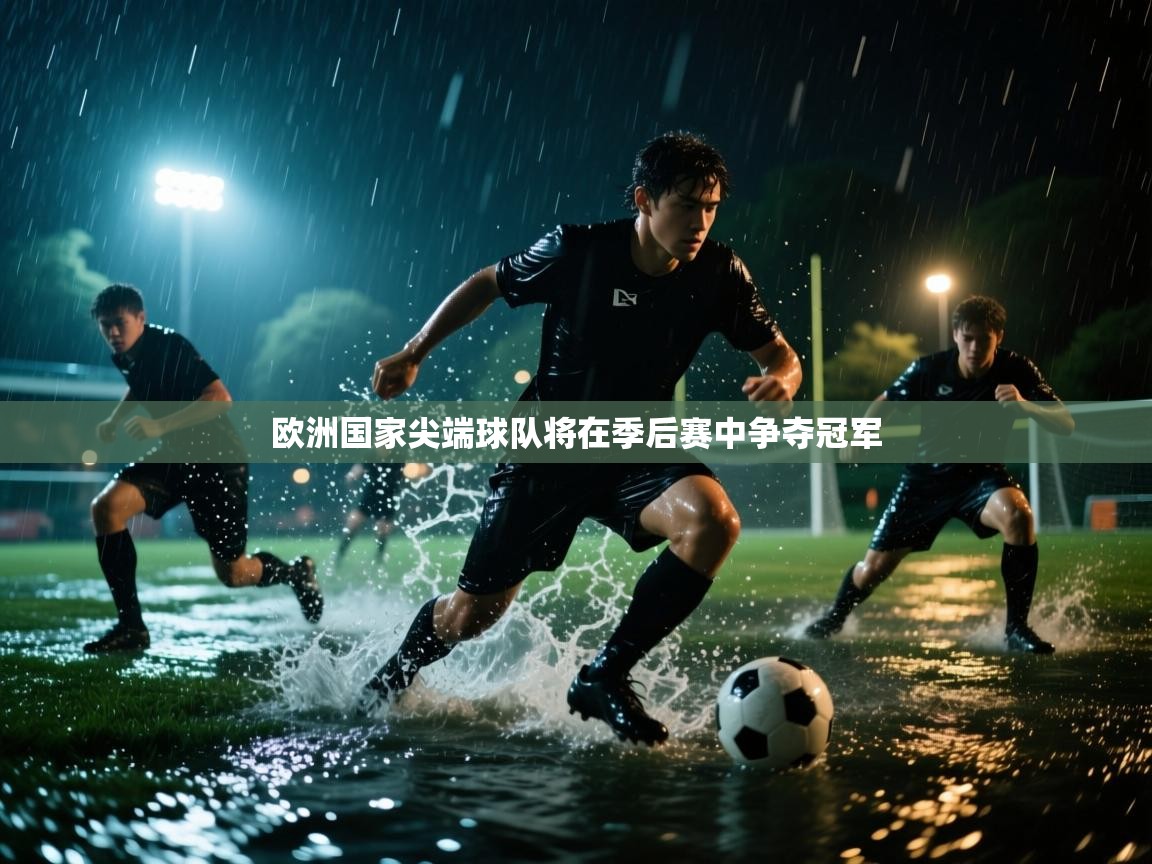 欧洲国家尖端球队将在季后赛中争夺冠军  第2张
