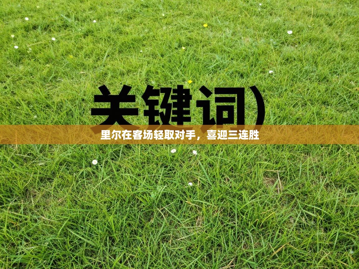 里尔在客场轻取对手，喜迎三连胜  第1张