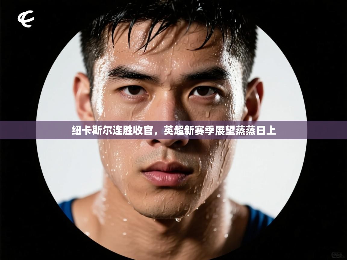 纽卡斯尔连胜收官，英超新赛季展望蒸蒸日上  第1张