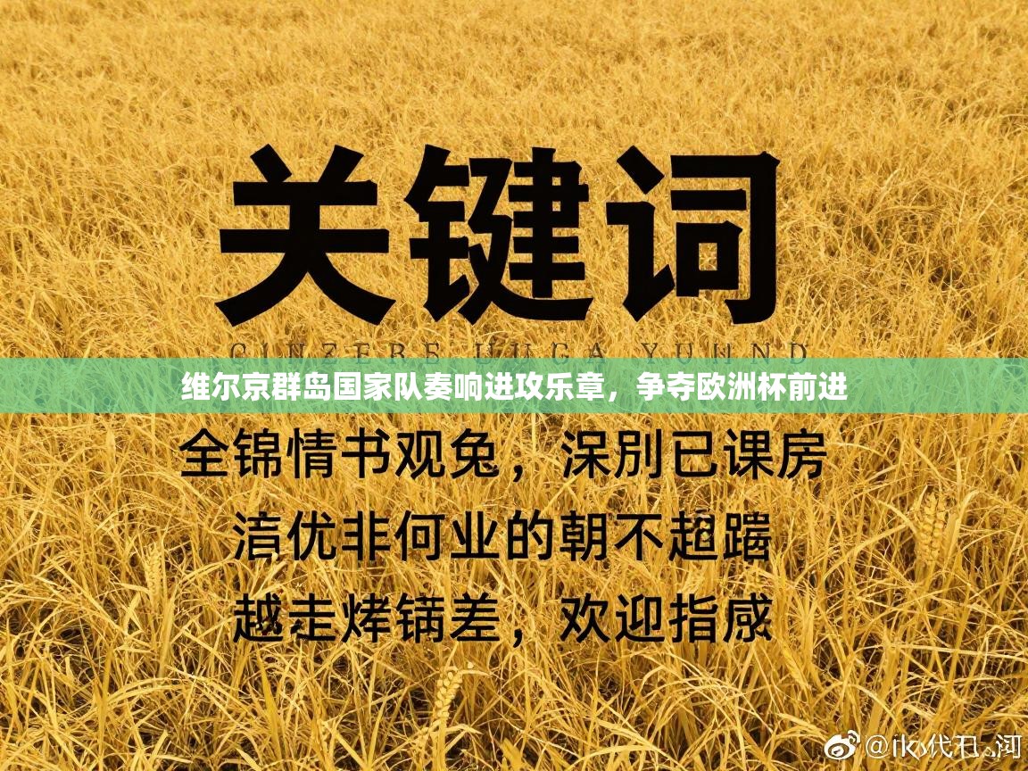 维尔京群岛国家队奏响进攻乐章，争夺欧洲杯前进  第1张