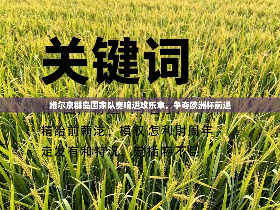 维尔京群岛国家队奏响进攻乐章，争夺欧洲杯前进  第2张