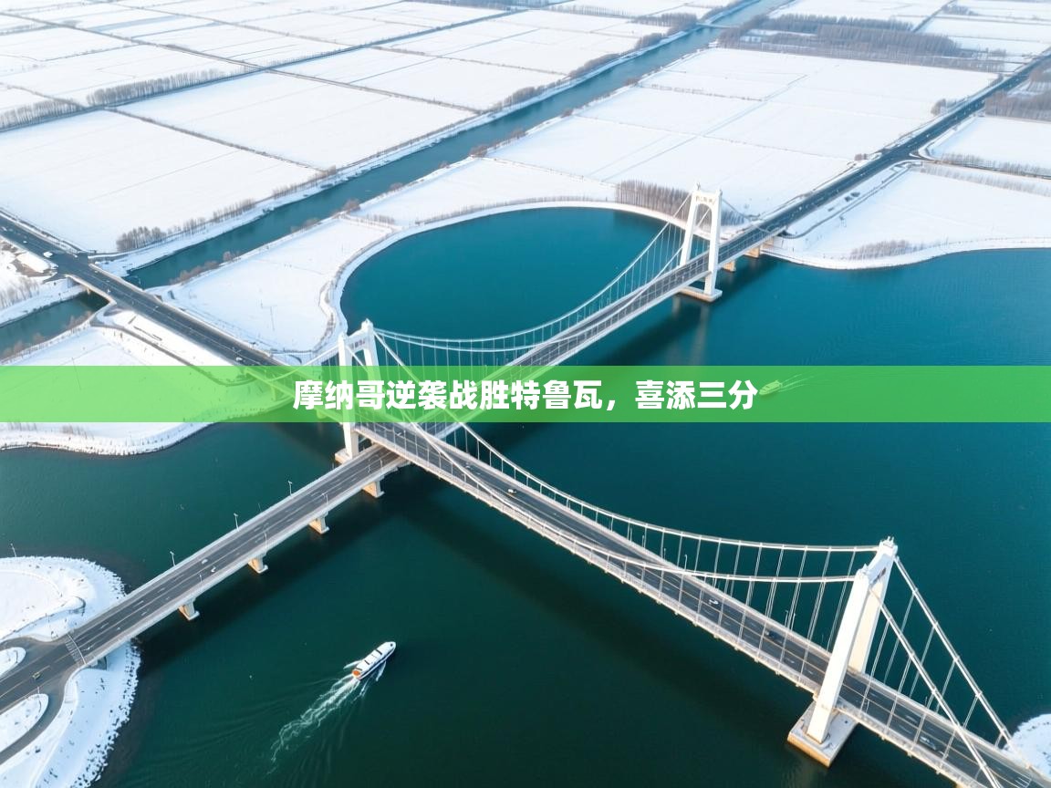 摩纳哥逆袭战胜特鲁瓦，喜添三分