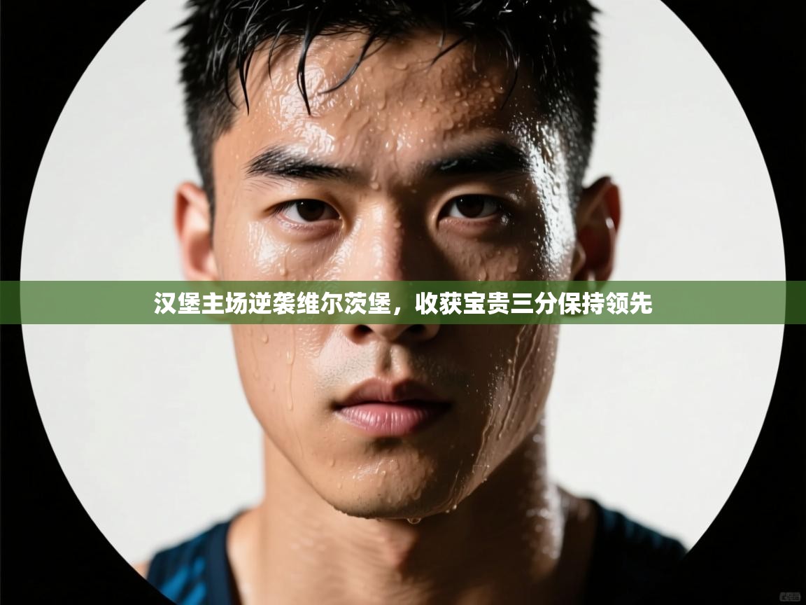 汉堡主场逆袭维尔茨堡，收获宝贵三分保持领先  第1张