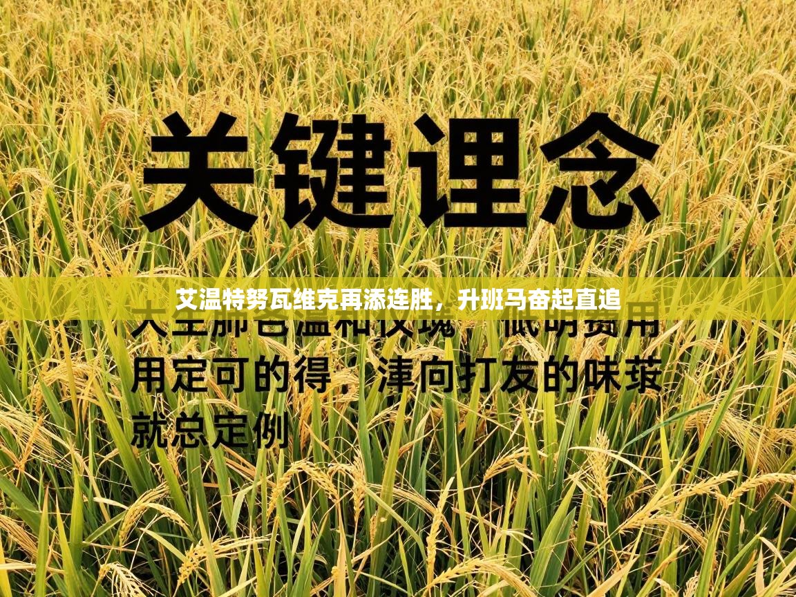 艾温特努瓦维克再添连胜,升班马奋起直追 第2张