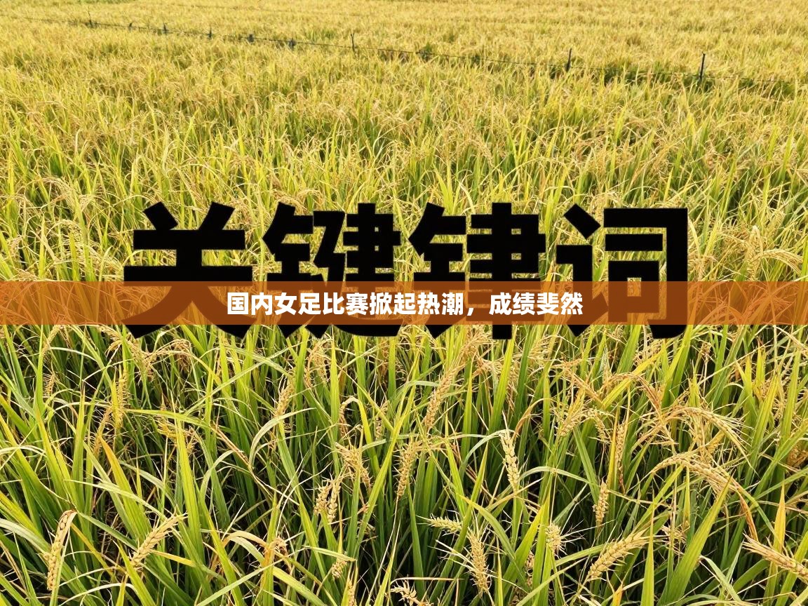 国内女足比赛掀起热潮,成绩斐然 第2张